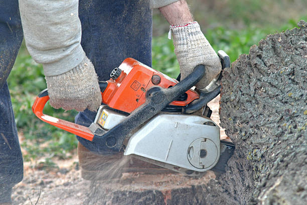 Glenns Ferry, ID Tree Services Company